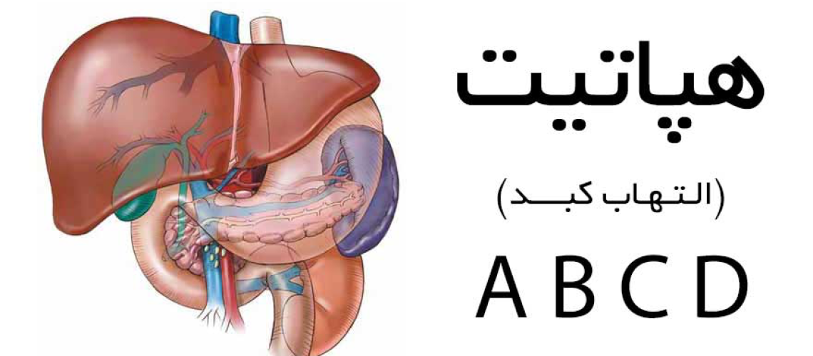 دکتر هپاتیت در رشت